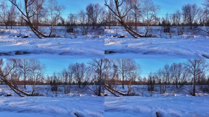 航拍4K视频素材 根河不冻河风光河岸柳树