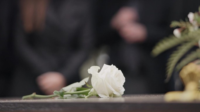 丧葬，墓地露天殡葬，悼念死亡、悲伤或纪念的人。墓地，在棺材、坟墓或墓碑上摆放玫瑰或鲜花以示敬意