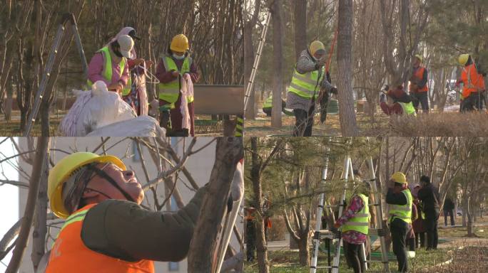 城市绿化园林工人树木修剪绿化环保苗木园丁