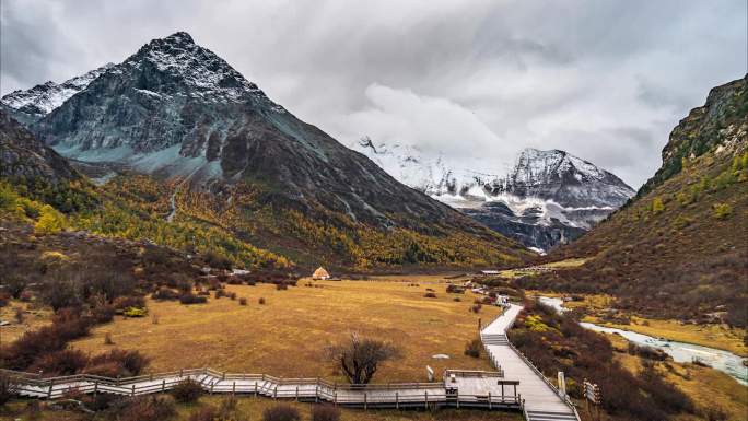 稻城亚丁络绒牛场美景