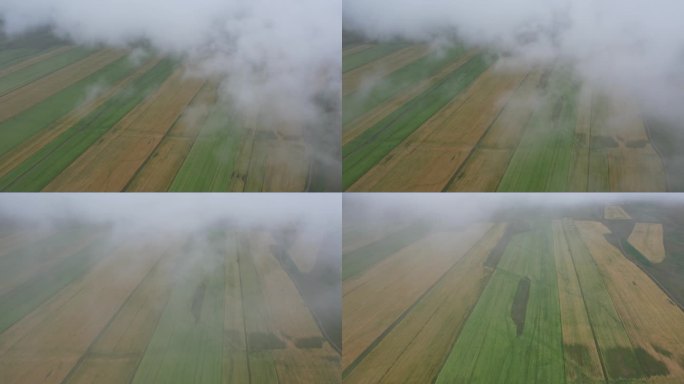 青海湖边穿云俯瞰农田