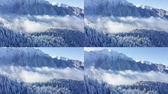 白雪皑皑的布歇山，布歇峰耸立在雾蒙蒙的森林之上