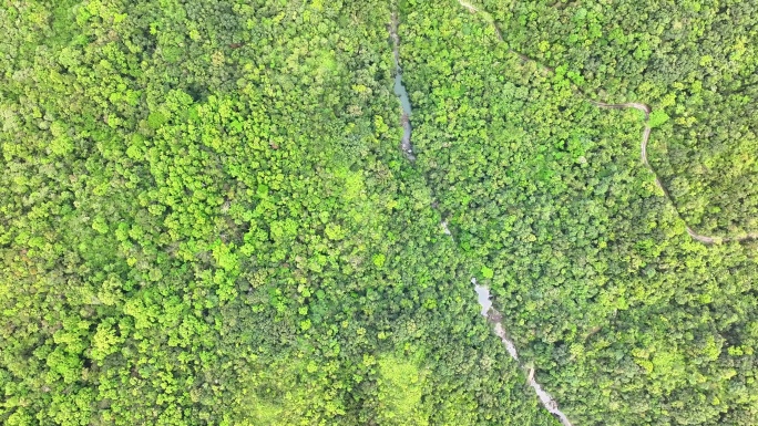 青山绿水