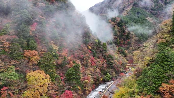 静冈县静冈市青井区，日本无人机拍摄的Umegashima温泉的秋叶