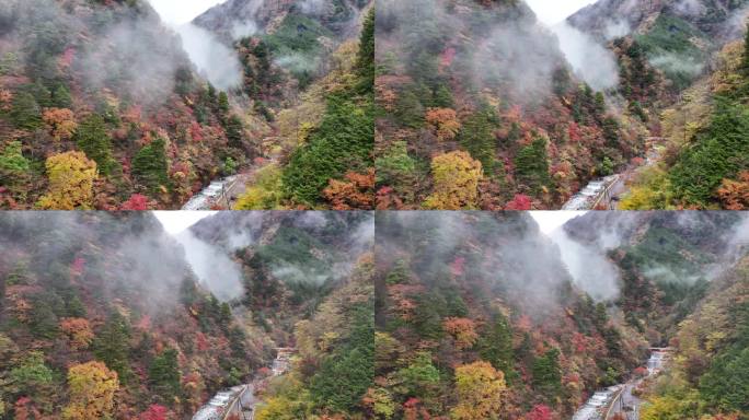 静冈县静冈市青井区，日本无人机拍摄的Umegashima温泉的秋叶