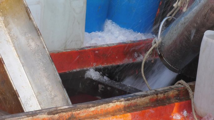 极近距离拍摄碎冰被装入渔船的船舱