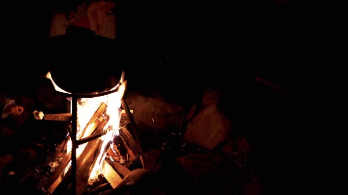 一群人在夜间森林的火堆旁烤棉花糖