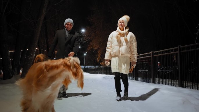一对夫妇牵着狗在装饰的街道上散步