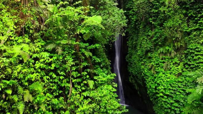 Leke Leke瀑布隐藏在印度尼西亚巴厘岛茂密的植被中。空中侧面和鲜艳的色彩