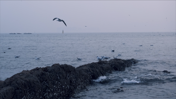 【4k】冬季的青岛，海浪拍打礁石