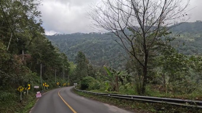 蜿蜒的道路穿过茂密的森林