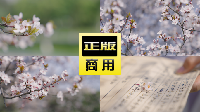 成都金沙滨河公园桃花素材桃花花海春天自然