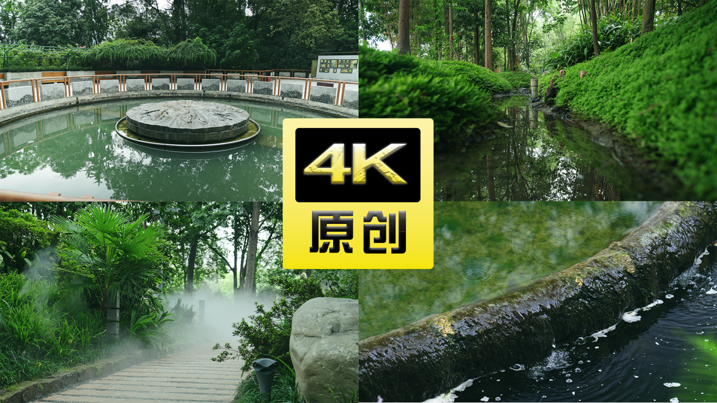 百花潭公园空镜头公园散步4k