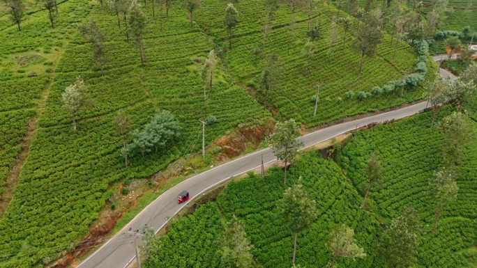 鸟瞰图的嘟嘟车在道路上通过茶叶种植园在斯里兰卡
