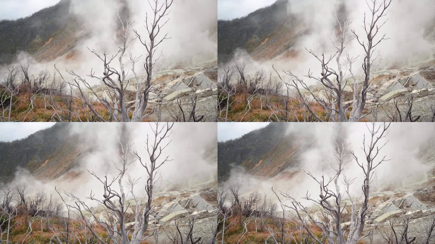 箱根小流谷的硫磺烟雾和火山泉。
