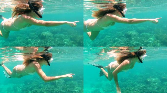 女人，在海洋中潜水或指着珊瑚礁，在热带生态中晒太阳或在水中运动。人、海、生态系统中天然海藻的探索者，