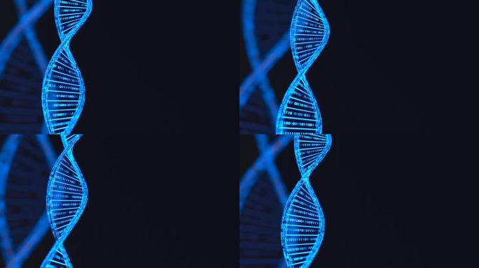 DNA 3D动画，科学和医学概念，二元DNA分子