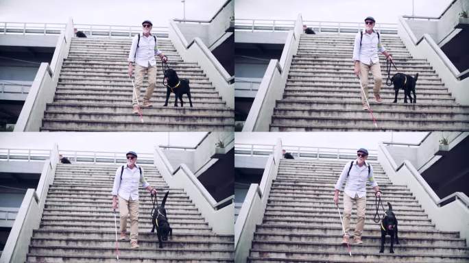 老年盲人带着导盲犬走下城市的楼梯。