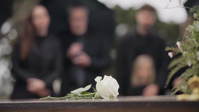 玫瑰，棺材和葬礼在墓地户外，家人一起在墓地举行葬礼。在送别活动上，死亡、悲伤和鲜花摆放在墓地的棺材上