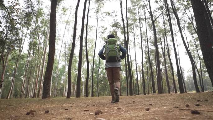 男徒步旅行者在松树林中跋涉