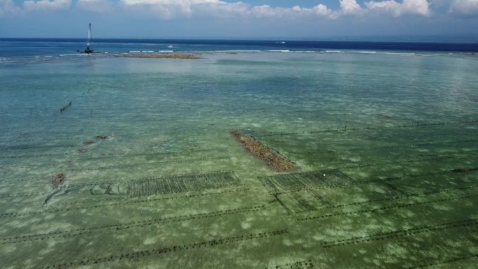 飞越海藻养殖场保护海岸线，空中低空拍摄