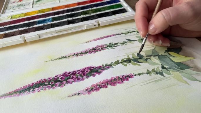 女性手绘水彩画与刷水彩花卉艺术视频。调色板上的背景。月见草的花