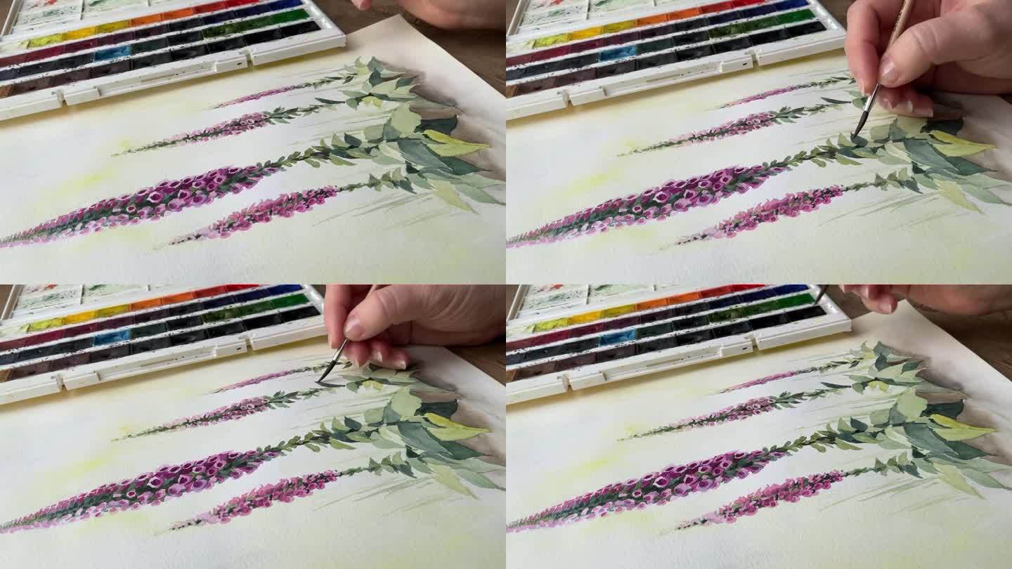 女性手绘水彩画与刷水彩花卉艺术视频。调色板上的背景。月见草的花