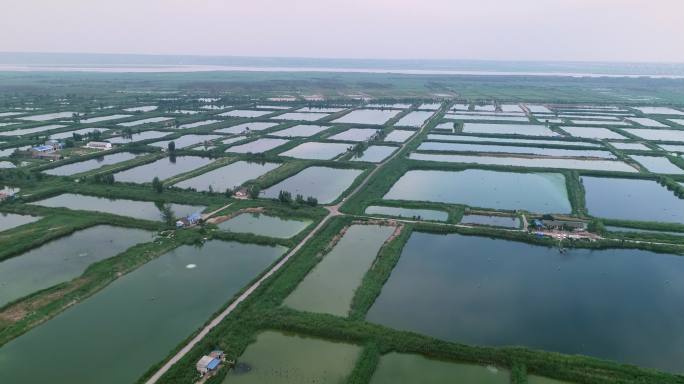 航拍陕西合阳黄河淡水养鱼连片鱼池01