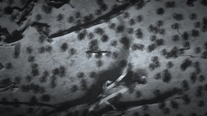 黑白显微镜视图，展示了许多不规则形状的细菌集群，以不同的密度分散在视野中