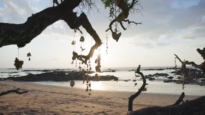晚霞透过珊瑚装饰泰国海滩树