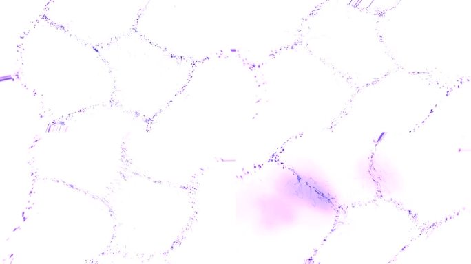 旋转的蓝色尘埃颗粒形成六面网片。在一个浅背景抽象。