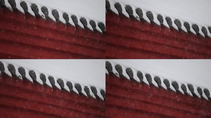 冬天，雪落在中国的屋檐和古建筑上
