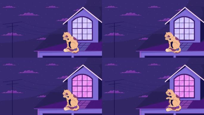 猫舔爪子在屋顶上的夜晚低保真动画卡通背景