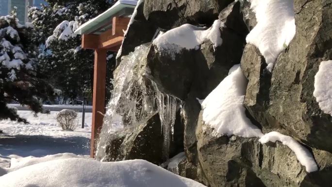 沈阳公园雪景视频之雪后光影