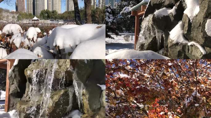 沈阳公园雪景视频之雪后光影