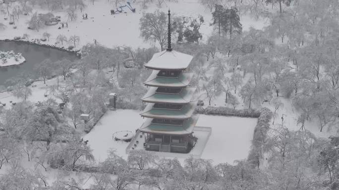 武汉东湖樱园雪景