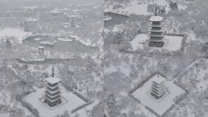 武汉东湖樱园雪景