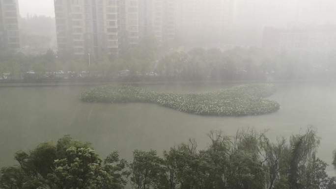 夏季狂风暴雨暴风雨湖面马路行人