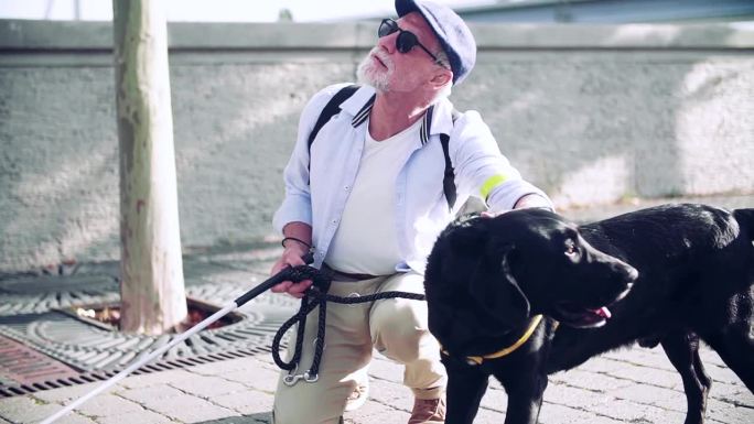 一位老年盲人带着导盲犬在城市户外休息。缓慢的运动。