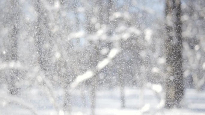 降雪时的冬季景观。冬日圣诞的抽象背景上超慢动作。