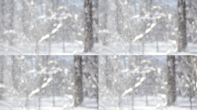 降雪时的冬季景观。冬日圣诞的抽象背景上超慢动作。