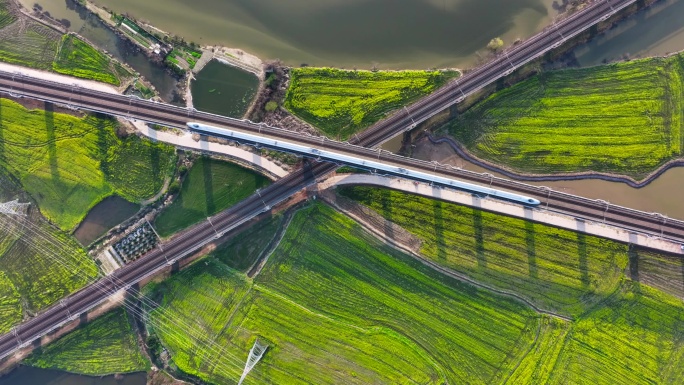 高铁 动车 复兴号 和谐号穿过油菜花田野