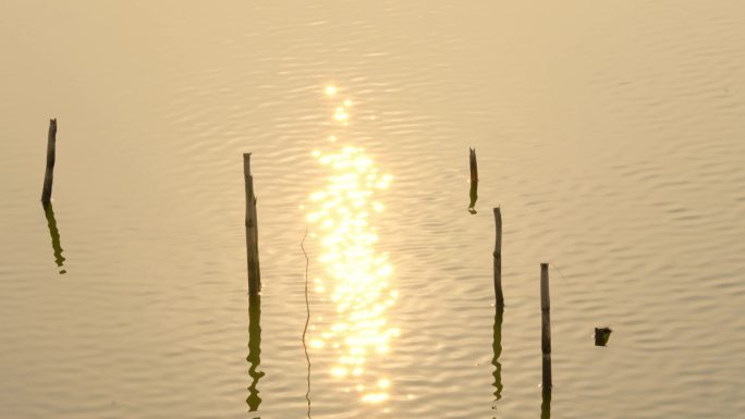 夕阳下湖面水的倒影