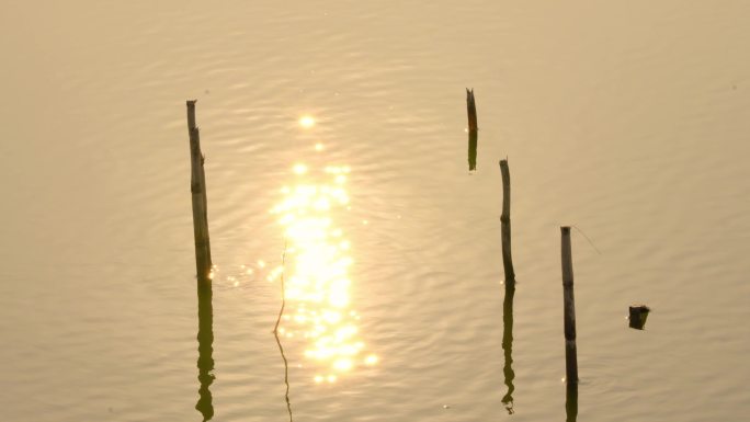 夕阳下湖面水的倒影