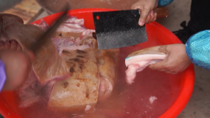 刮猪毛 猪肉 处理猪肉 年猪 撩猪毛