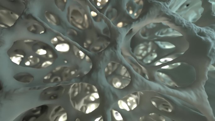 相机在3D动画中探索健康海绵状骨组织的宏观世界，类似于电子显微镜视图。