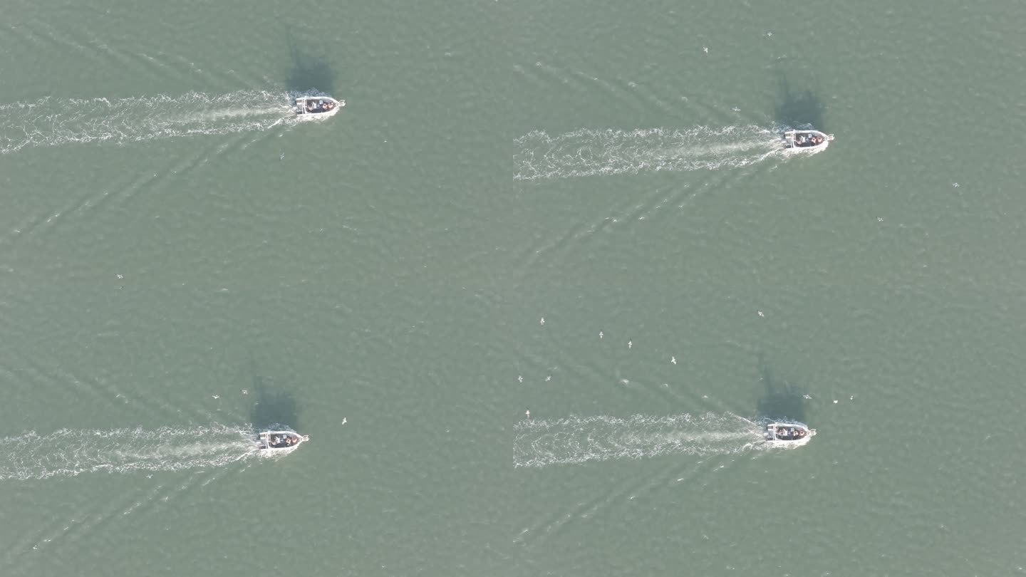 航拍俯瞰威海市高区双岛湾海面航行快艇海鸥