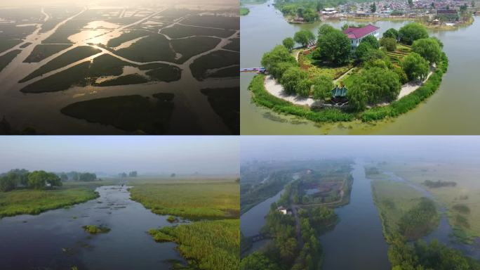 江苏建湖县九龙口湿地