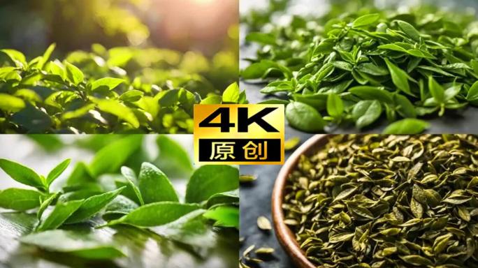 【合集】茶叶特写新茶视频茶叶杀青素材空镜