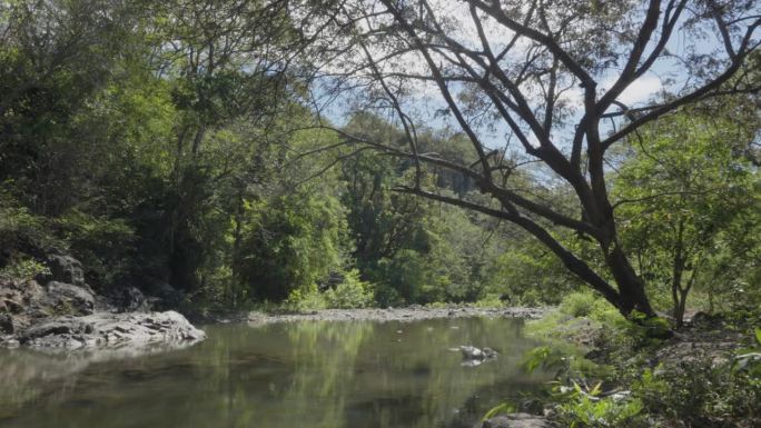 在洪都拉斯南部的El Paraíso省的夏日里，一条河流被大树包围着，宁静的风景。